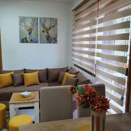 Apartmanbogdanovic012 Zlatibor