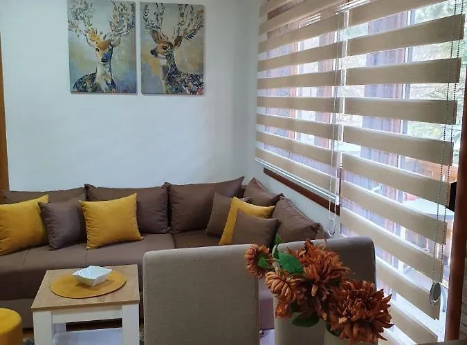 Apartmanbogdanovic012 Ζλάτιμπορ